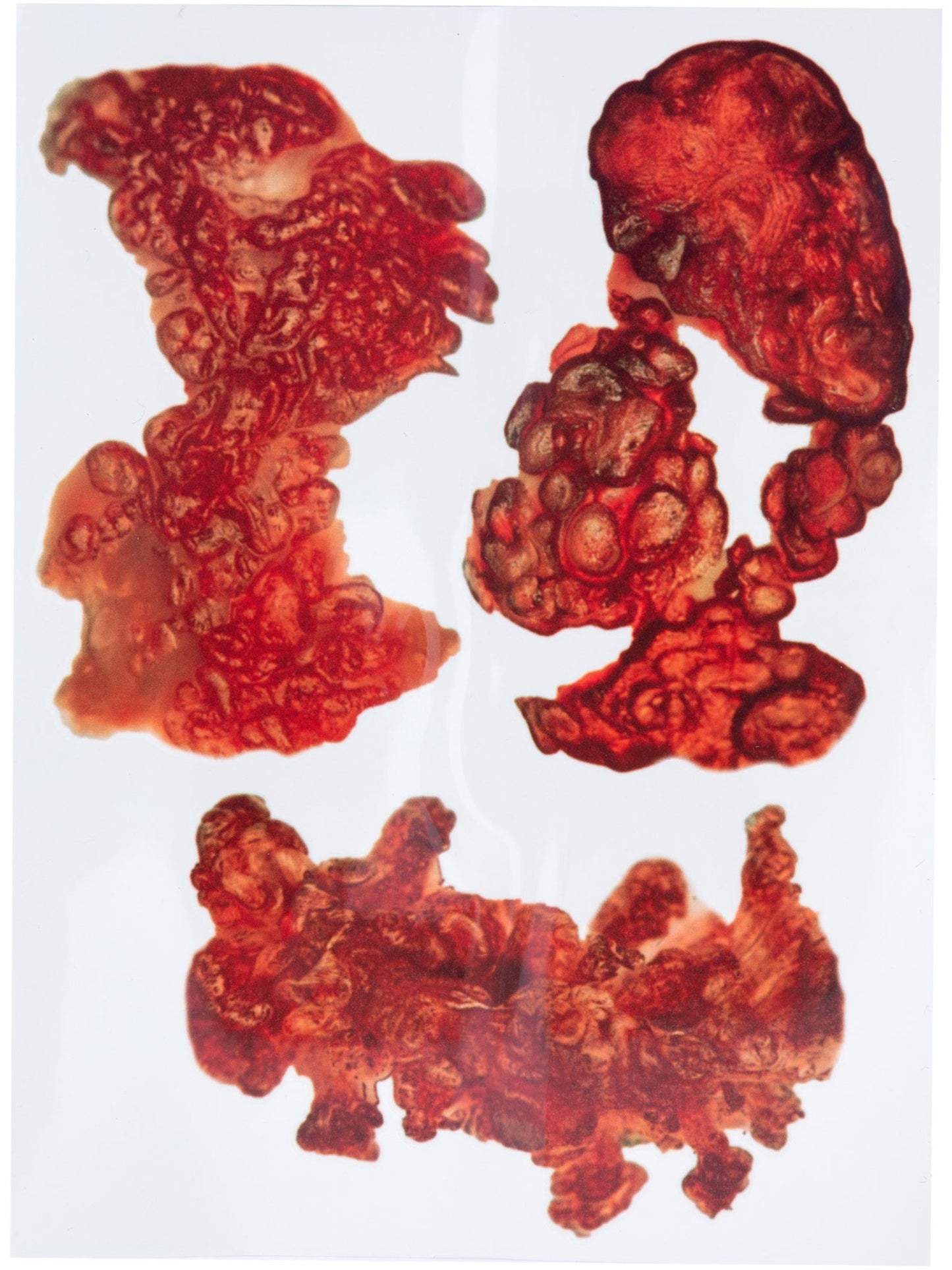 Smiffys Make-Up FX, Burnt Skin Tattoo Transfers Wholesale