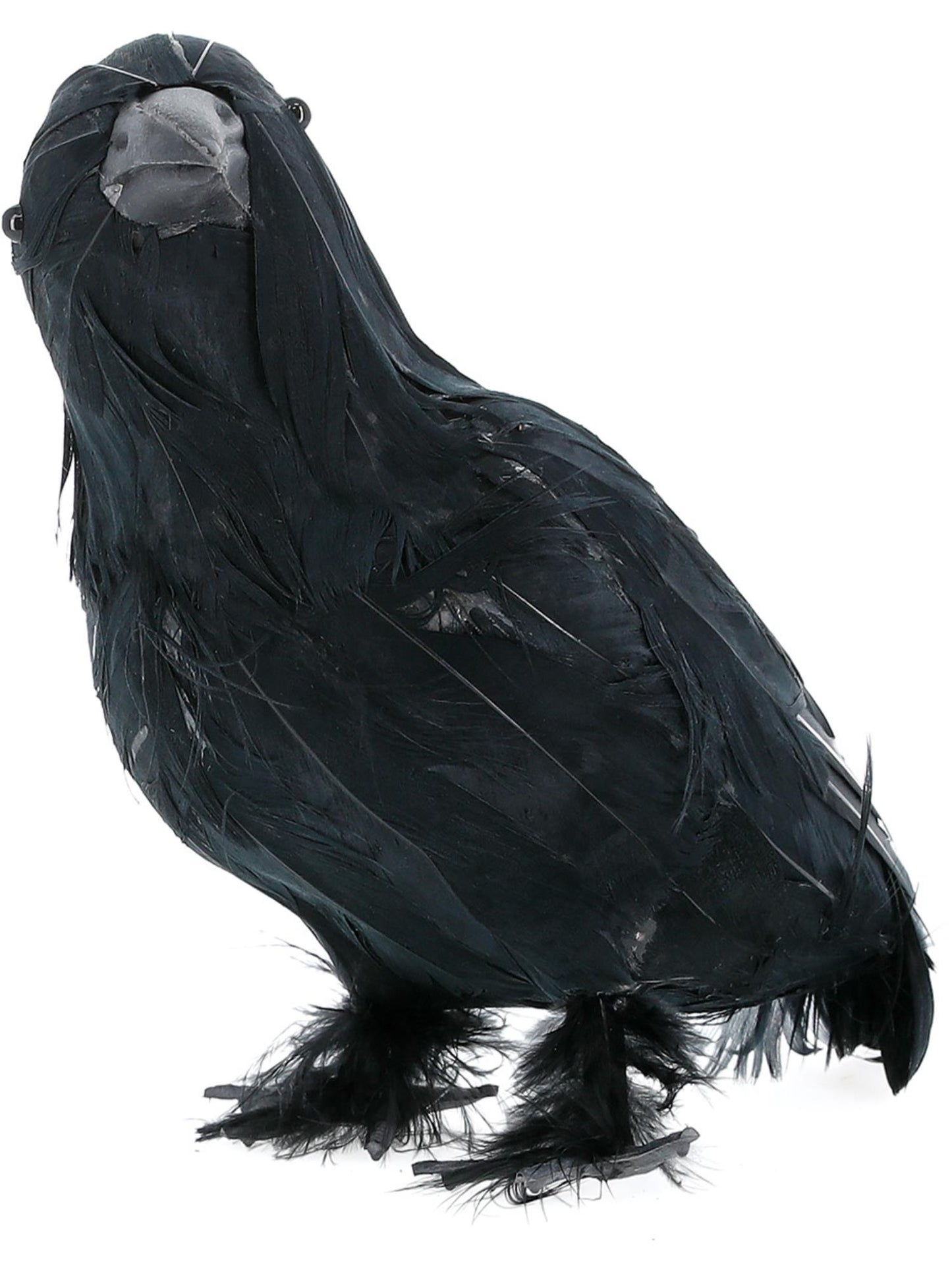 Krähe, Schwarz, Gefiedert, 33 cm