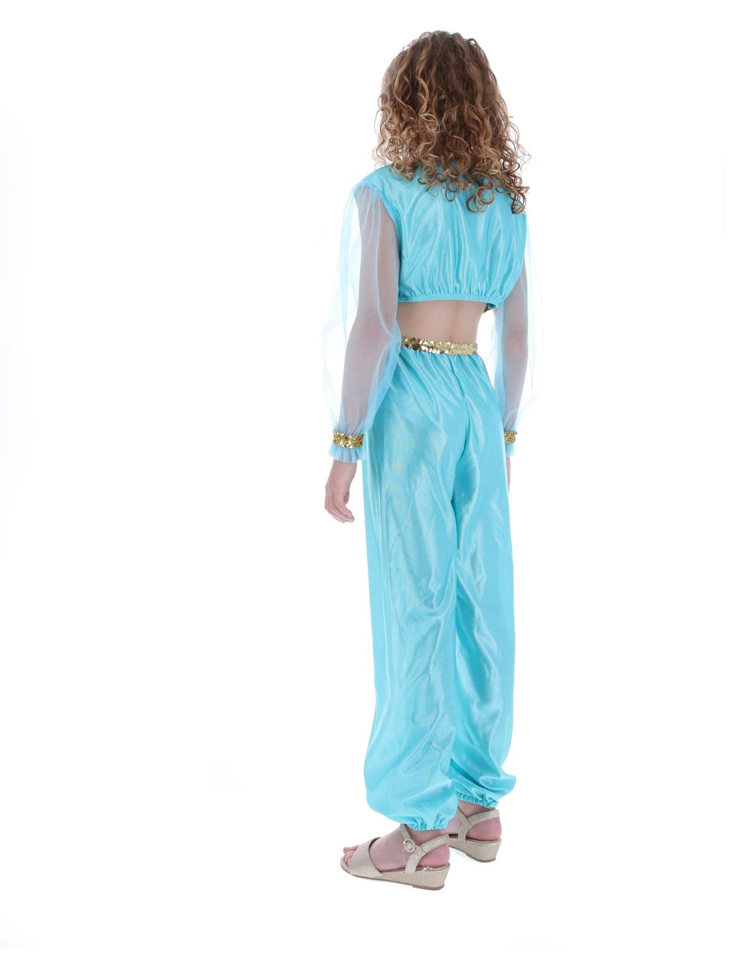 Arabian Princess Costume, Blue  Wholesale