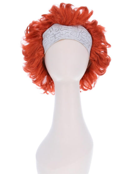 IT Chapter Two Pennywise Wig  Wholesale