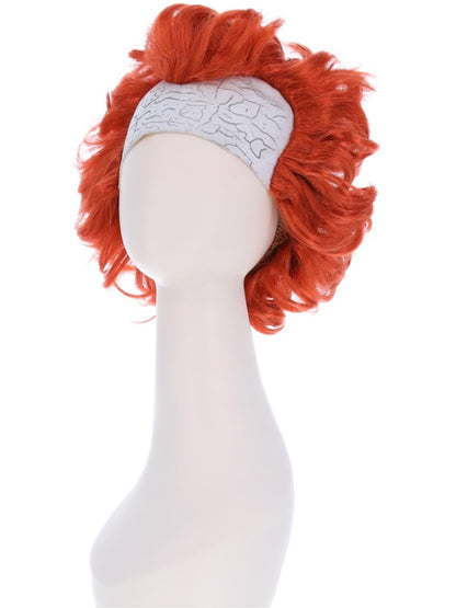 IT Chapter Two Pennywise Wig  Wholesale